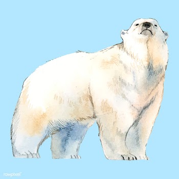 Polar bear watercolor style vector | Free stock vector - 489374