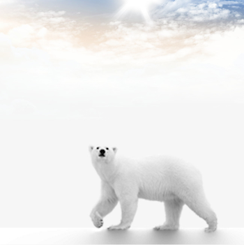 Polar Bears Material Download, Polar Bear, Bear, Sky PNG Clipart ...