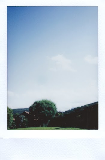 Polaroid Photo