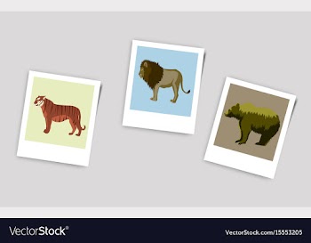 Polaroid photo of bear lion tiger vector image