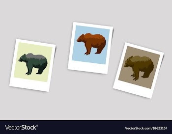 Polaroid photo of bears vector image