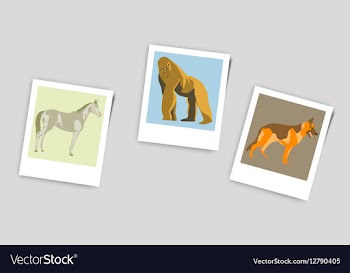 Polaroid Photo of gorilla horse vector image
