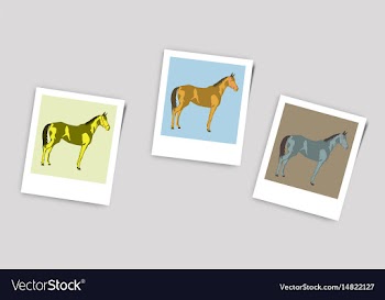 Polaroid photo of horse vector image