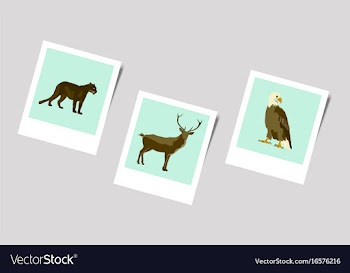 Polaroid photo of puma deer eagle vector image