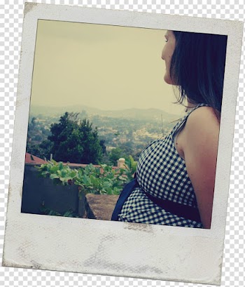 Polaroid SX-70 Instant camera Polaroid Corporation, polaroid transparent background PNG clipart