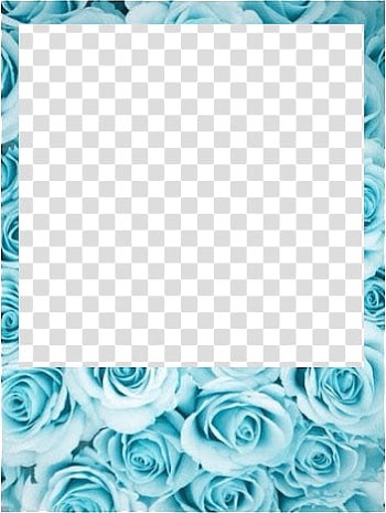 Polaroids , blue rose flower transparent background PNG clipart