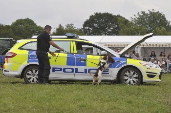 Police dog show, June 19, | Free Photo - rawpixel