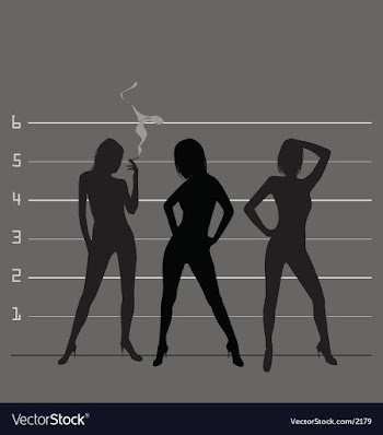 Police line up vector image