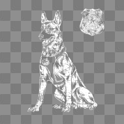 Police Officer Dog, Sheepdog Police,German Shepar Men's 50/50 T ...