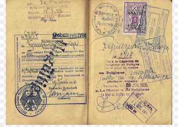 Polish passport Document Japanese passport Paper - passport 