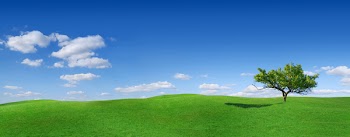 Polish spring landscape - green fileds, the blue sky and white clouds