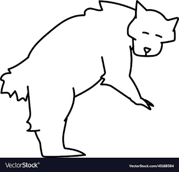 pollar bear