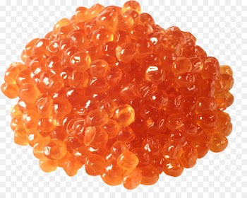 Pollock roe Red caviar Chum salmon Beluga caviar - fish 