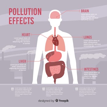 Pollution on human body infographic Free Vector