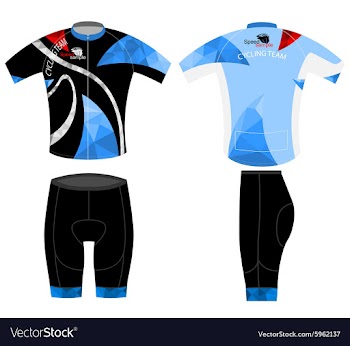 Poly shirt vector image
