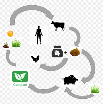 Polyculture - Food
