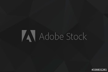Polygon patterned background