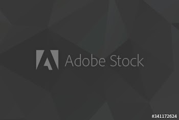 Polygon patterned background