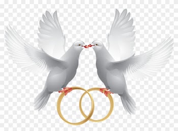 Pombinhas Com Alianças - Wedding Doves With Rings
