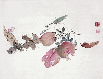 Pomegranate and insects (1834) painting | Free Photo Illustration - rawpixel