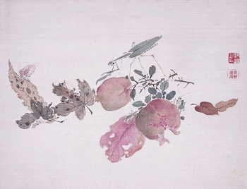 Pomegranate and Insects (1834) painting | Free Photo - rawpixel