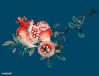 Pomegranate by Kōno Bairei (1844-1895). Digi.. | Free stock vector - 467145