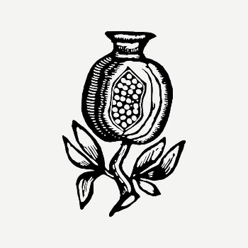 Pomegranate collage element, vintage illustration | Free PSD Illustration - rawpixel