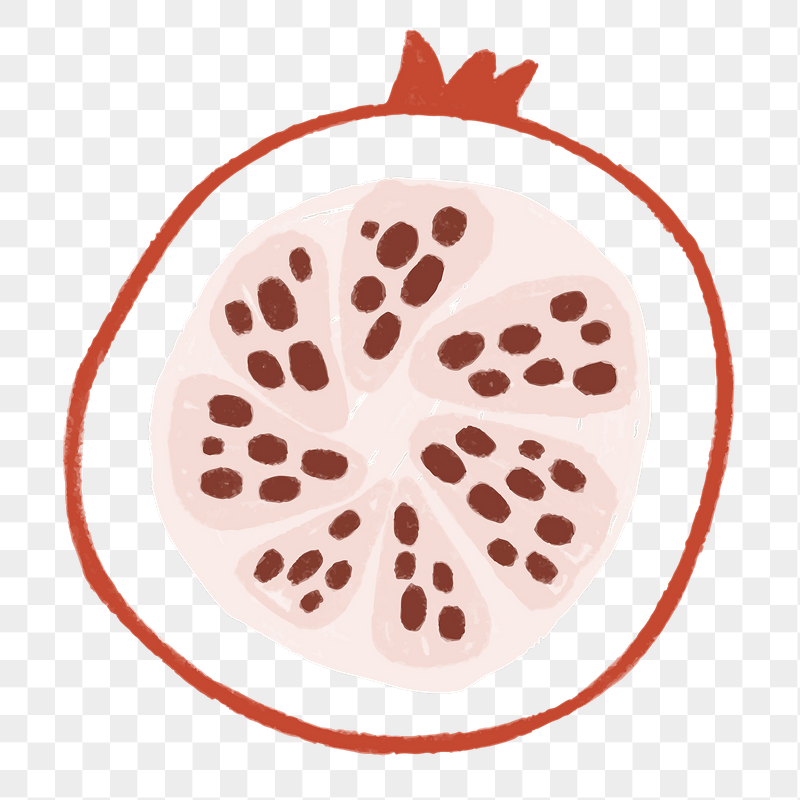 Pomegranate doodle png fruit sticker, | Free PNG - rawpixel