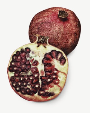 Pomegranate fruit collage element, isolated | Free PSD - rawpixel
