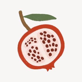Pomegranate fruit, cute food doodle | Free PSD - rawpixel