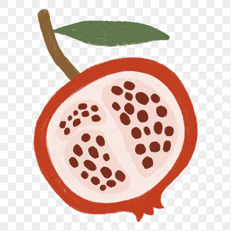 Pomegranate fruit png sticker, cute | Free PNG - rawpixel