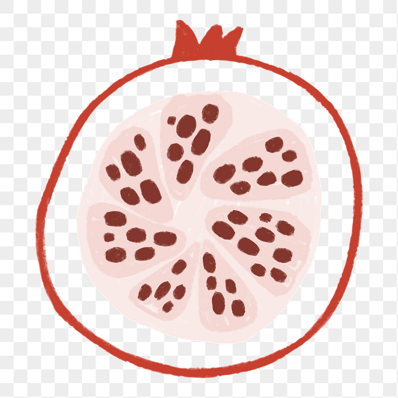 Pomegranate fruit png sticker, cute | Free PNG - rawpixel