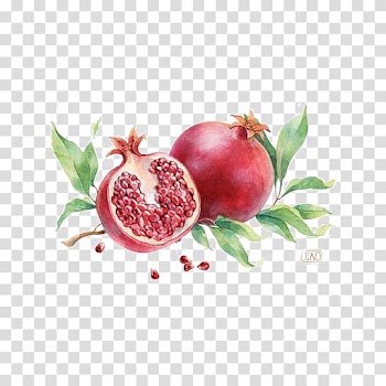 Pomegranate Fruit Red, Watercolor Pomegranate transparent background PNG clipart
