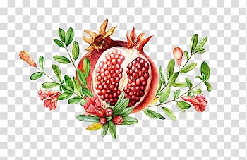 , pomegranate fruit transparent background PNG clipart