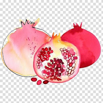 Pomegranate Granada Watercolor painting, Pomegranate Watercolor transparent background PNG clipart