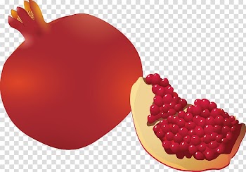 Pomegranate juice Fruit Illustration, pomegranate transparent background PNG clipart