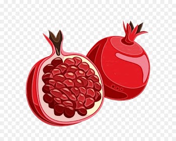 pomegranate red fruit food plant