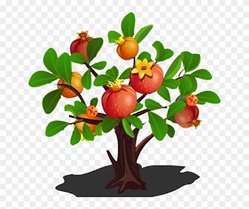 Pomegranate Tree Clip Art - Pomegranate Tree Transparent