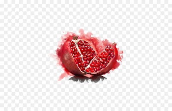 Pomegranate Watercolor painting Fruit Vegetarian cuisine Illustration - Watercolor pomegranate 