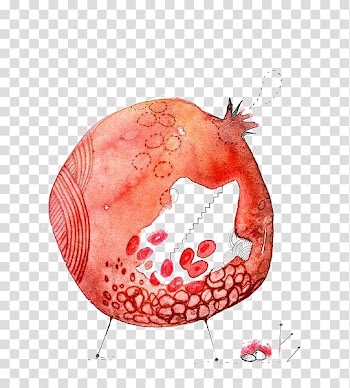 Pomegranate Watercolor painting, pomegranate transparent background PNG clipart