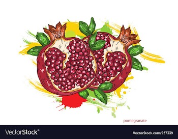 Pomegranate with colorful splashes vector image