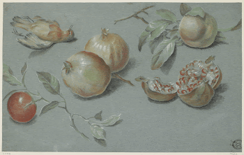 Pomegranates and Dead Bird. Original | Free Photo - rawpixel