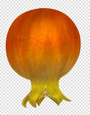 Pomegranates , orange and green fruit transparent background PNG clipart