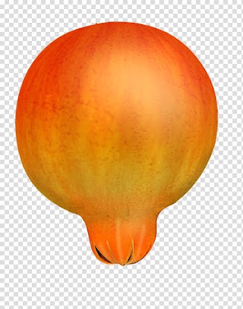 Pomegranates , orange pomegranate fruit transparent background PNG clipart