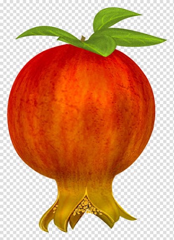 Pomegranates , round red fruit with green leaves illustration transparent background PNG clipart