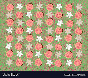 Pomegranates vector image