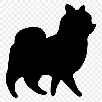 Pomeranian dog png sticker animal | Free PNG - rawpixel