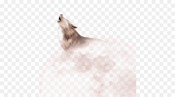 Pomeranian Download - the wolf and the moon 