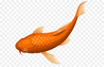 Pond Cartoon png download - 8000*7007 - Free Transparent Koi png ...