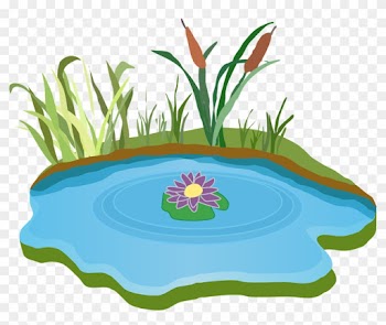 Pond Clipart Rain Water - Lake Clipart
